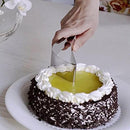 Perfect Cake Slicer - household-ideals
