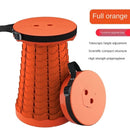 Everywhere Portable Seat