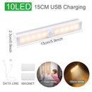 Warm & Cold Light Motion Sensor Wireless LED Lights - household-ideals
