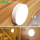 Warm & Cold Light Motion Sensor Wireless LED Lights - household-ideals