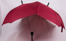Creative Duo X2 Umbrella