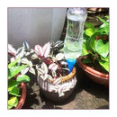 Automatic Plant Irrigation System - lifehacks-home