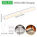 Warm & Cold Light Motion Sensor Wireless LED Lights - household-ideals