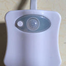Motion Senor Toilet Nightlight - household-ideals
